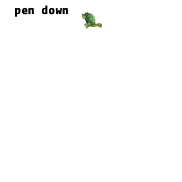 Turtle animation